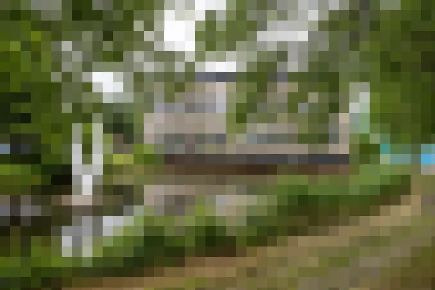 De Blekerij 8 Leusden thumbnail 26