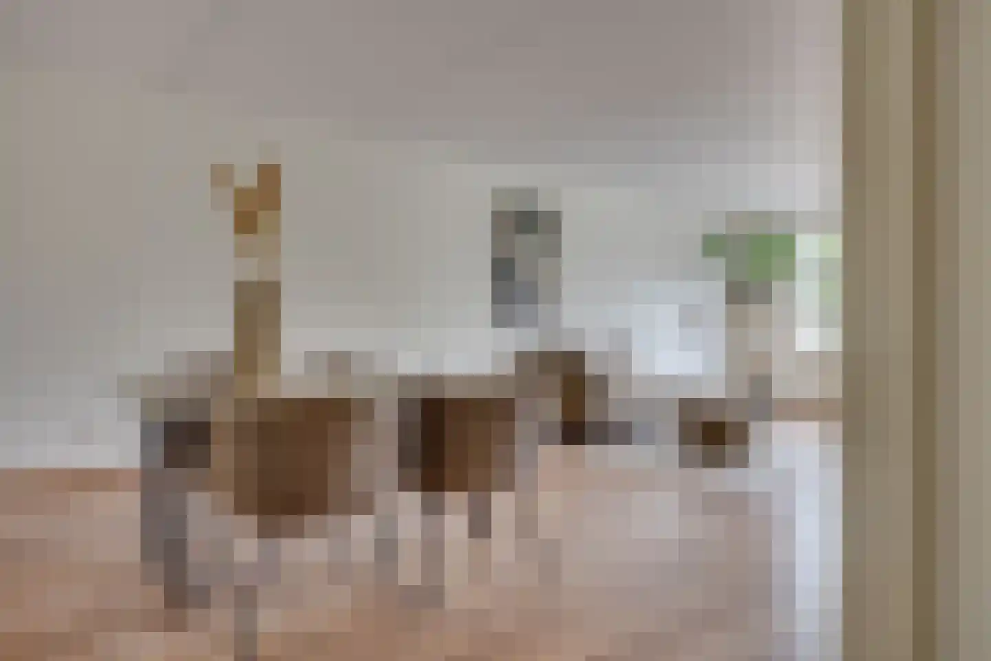 De Blekerij 8 Leusden thumbnail 4