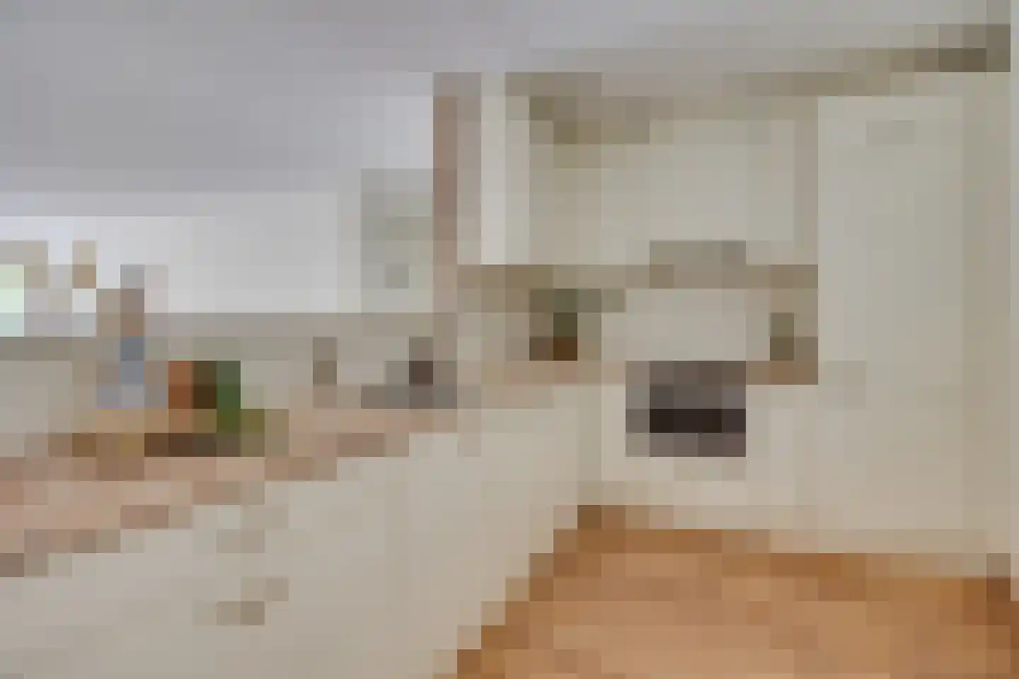 De Blekerij 8 Leusden thumbnail 9
