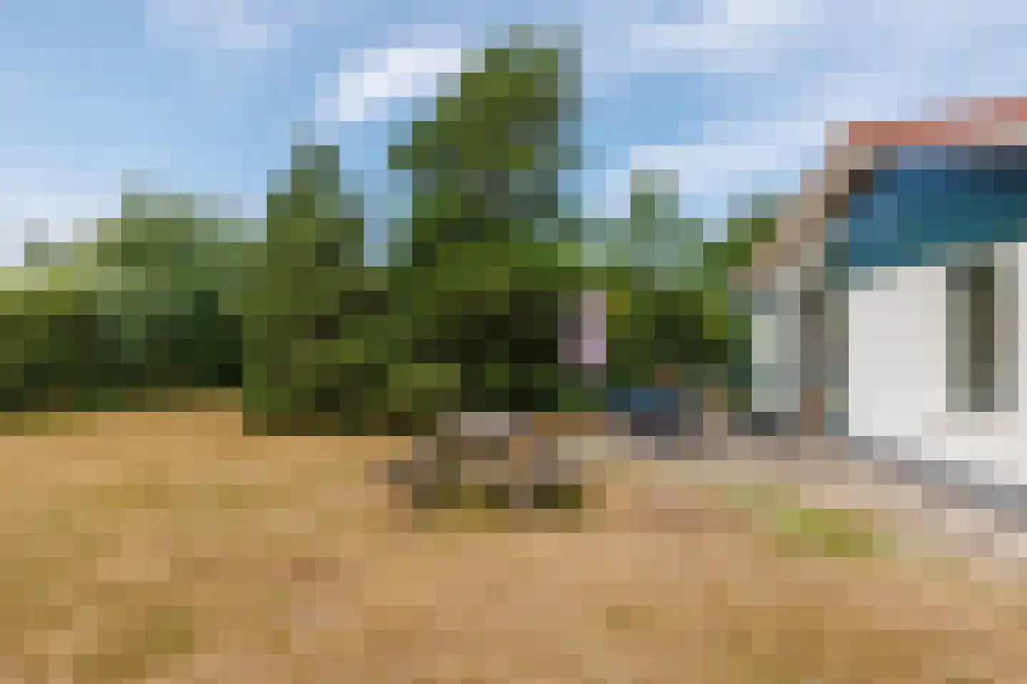 De Blieke 91 Hollum thumbnail 27
