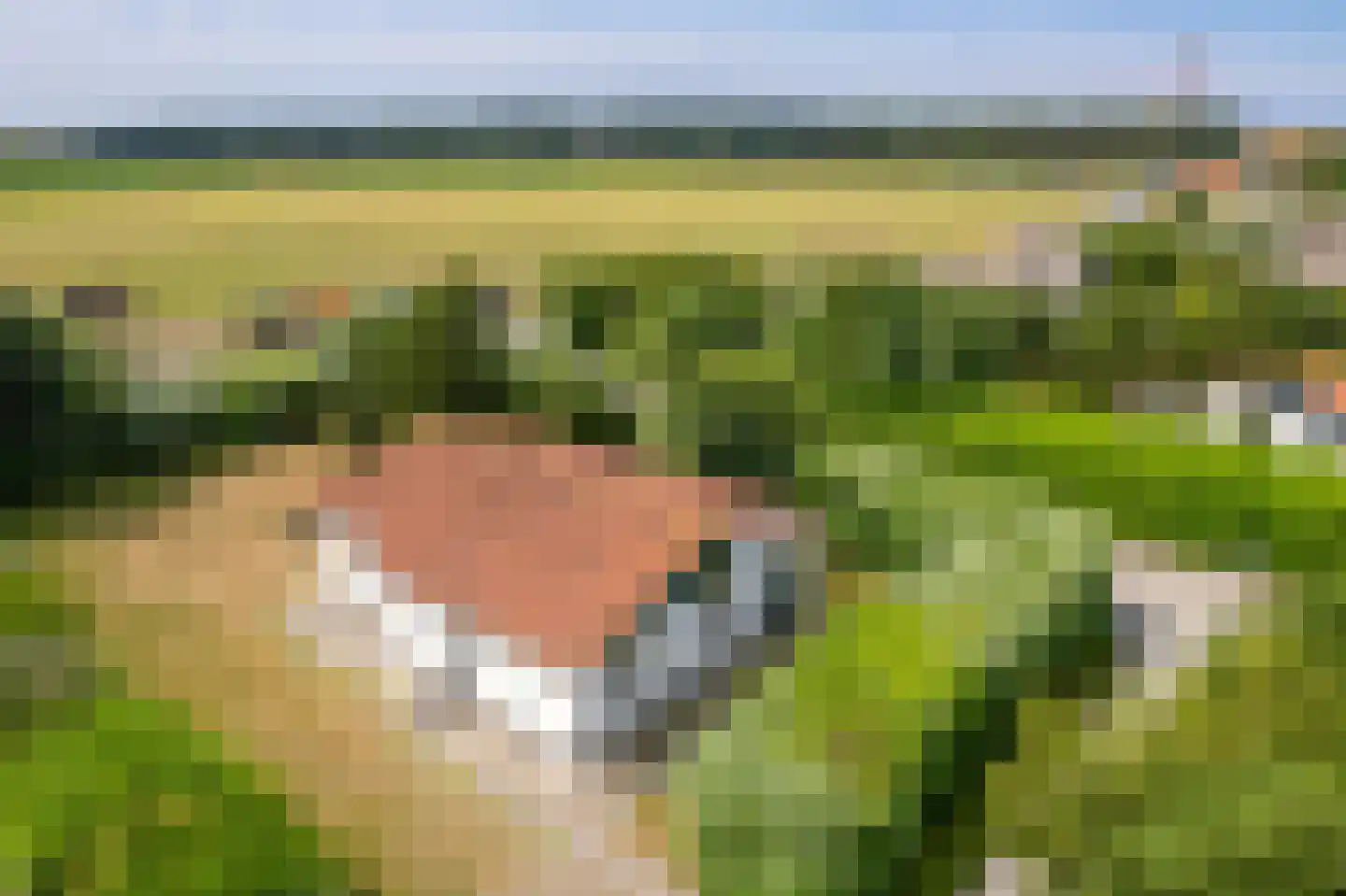 De Blieke 91 Hollum thumbnail 32