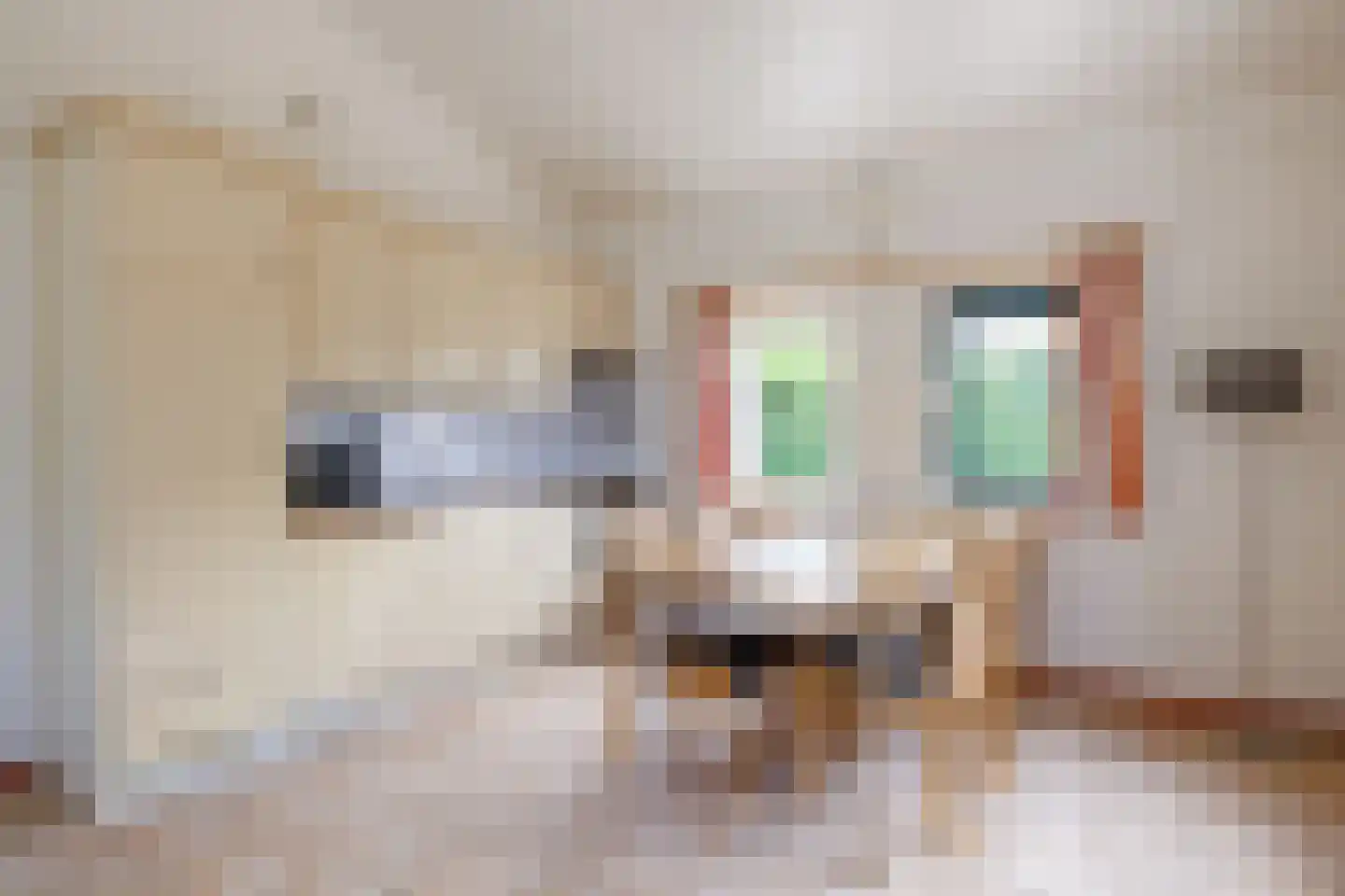 De Blieke 91 Hollum thumbnail 4
