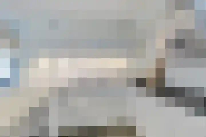 De Blikken 10 Stiens thumbnail 11