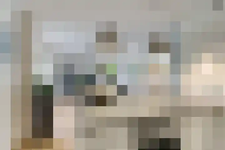 De Blikken 10 Stiens thumbnail 12