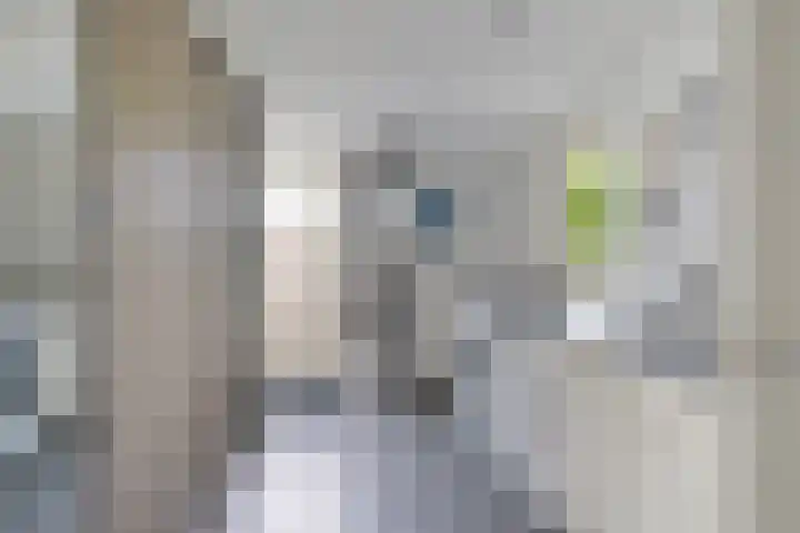 De Blikken 10 Stiens thumbnail 13