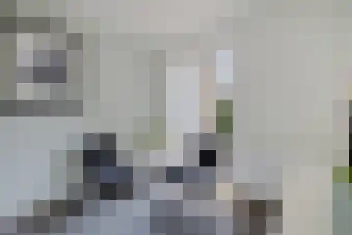De Blikken 10 Stiens thumbnail 16