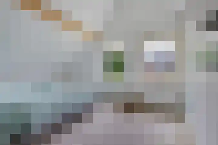 De Blikken 10 Stiens thumbnail 19