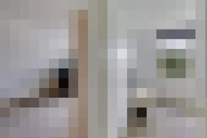 De Blikken 10 Stiens thumbnail 24