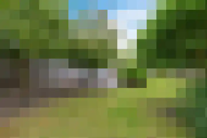 De Blikken 10 Stiens thumbnail 35