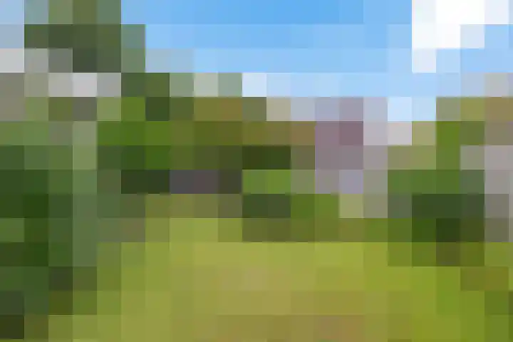 De Blikken 10 Stiens thumbnail 38