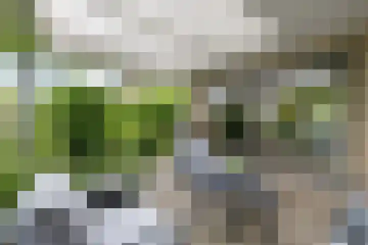 De Blikken 10 Stiens thumbnail 40