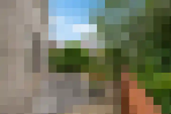 De Blikken 10 Stiens thumbnail 41