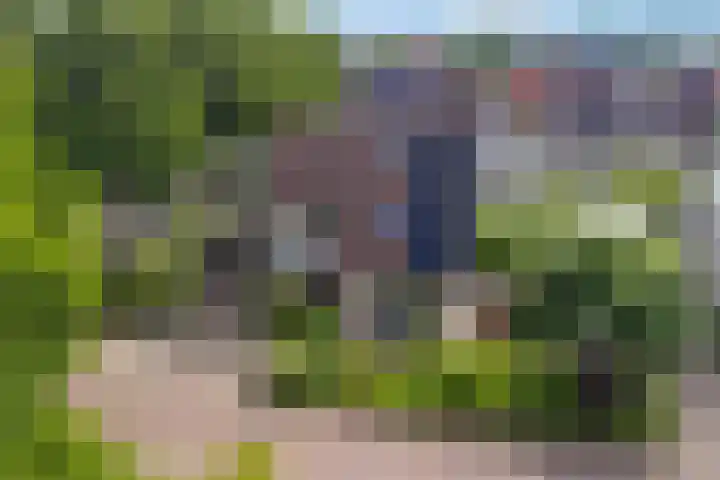 De Blikken 10 Stiens thumbnail 48
