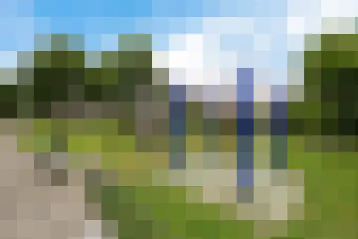 De Blikken 10 Stiens thumbnail 52