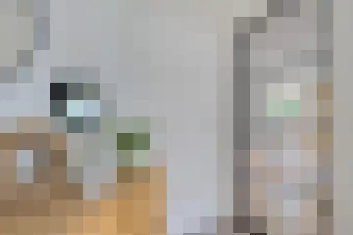 De Blikken 10 Stiens thumbnail 57