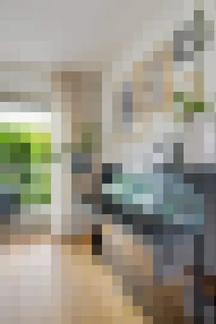 De Blikken 10 Stiens thumbnail 7