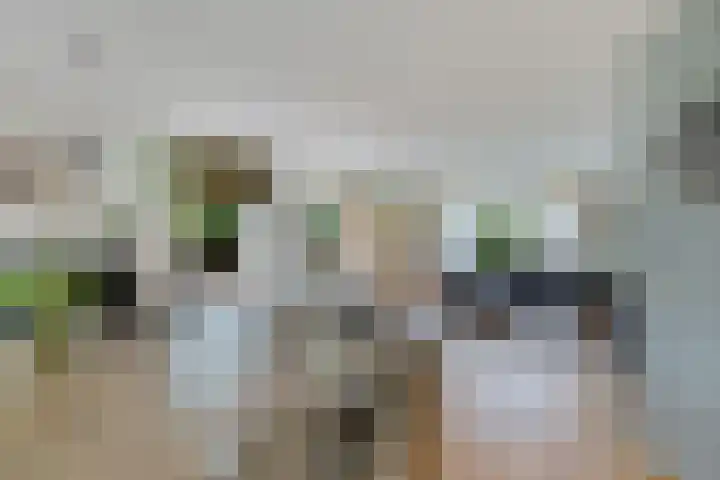De Blikken 10 Stiens thumbnail 8