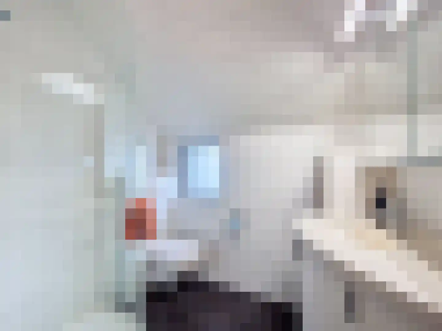 De Blikken 11 Oostburg thumbnail 30