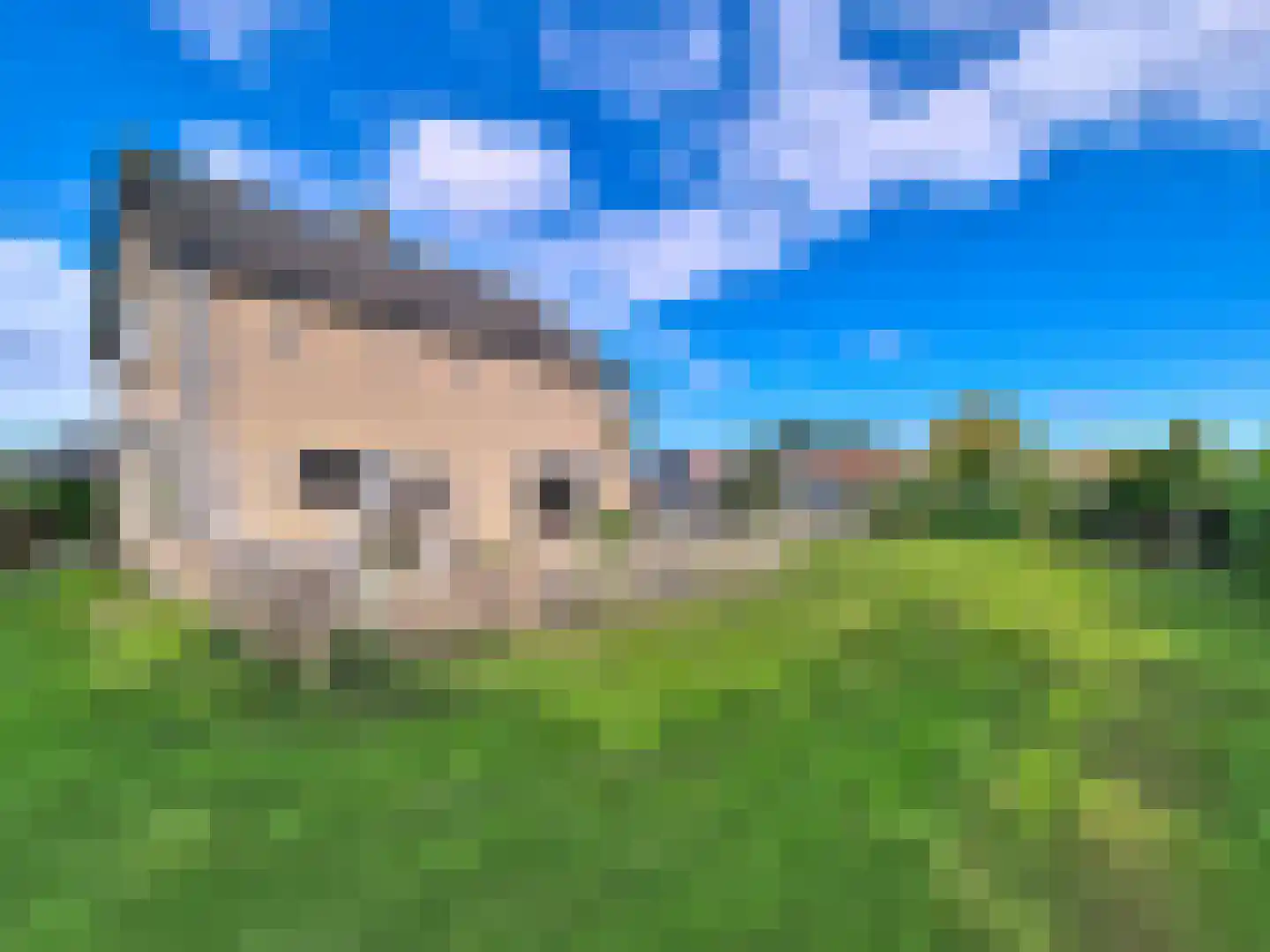 De Blikken 11 Oostburg thumbnail 37