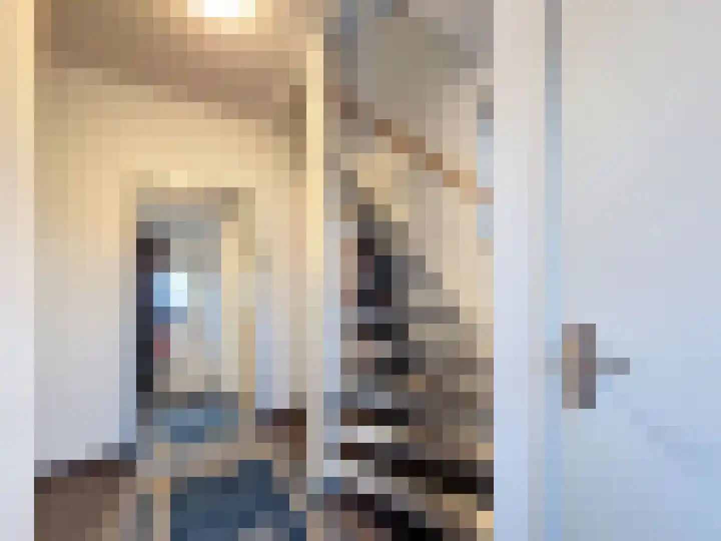De Blikken 11 Oostburg thumbnail 5