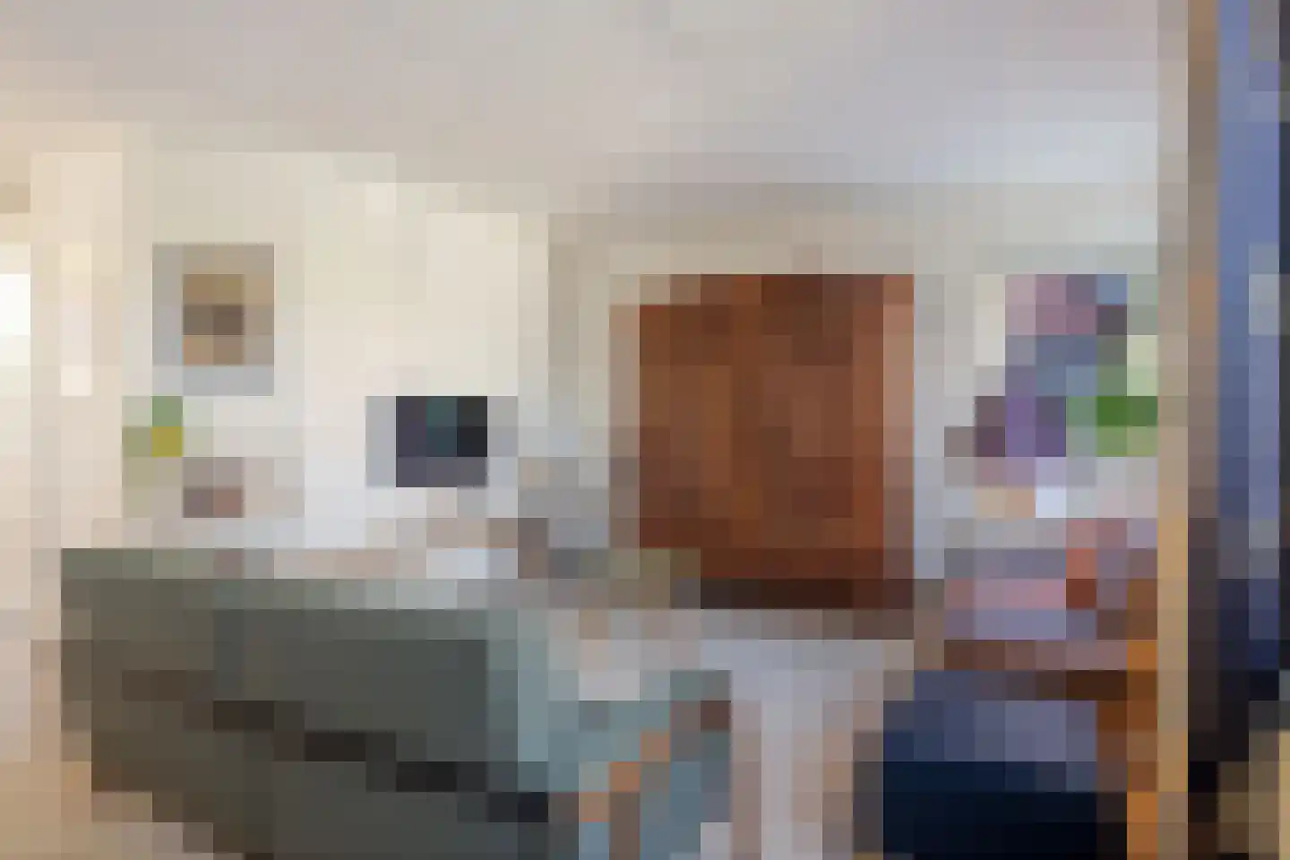 De Blikken 32 Oudenbosch thumbnail 11