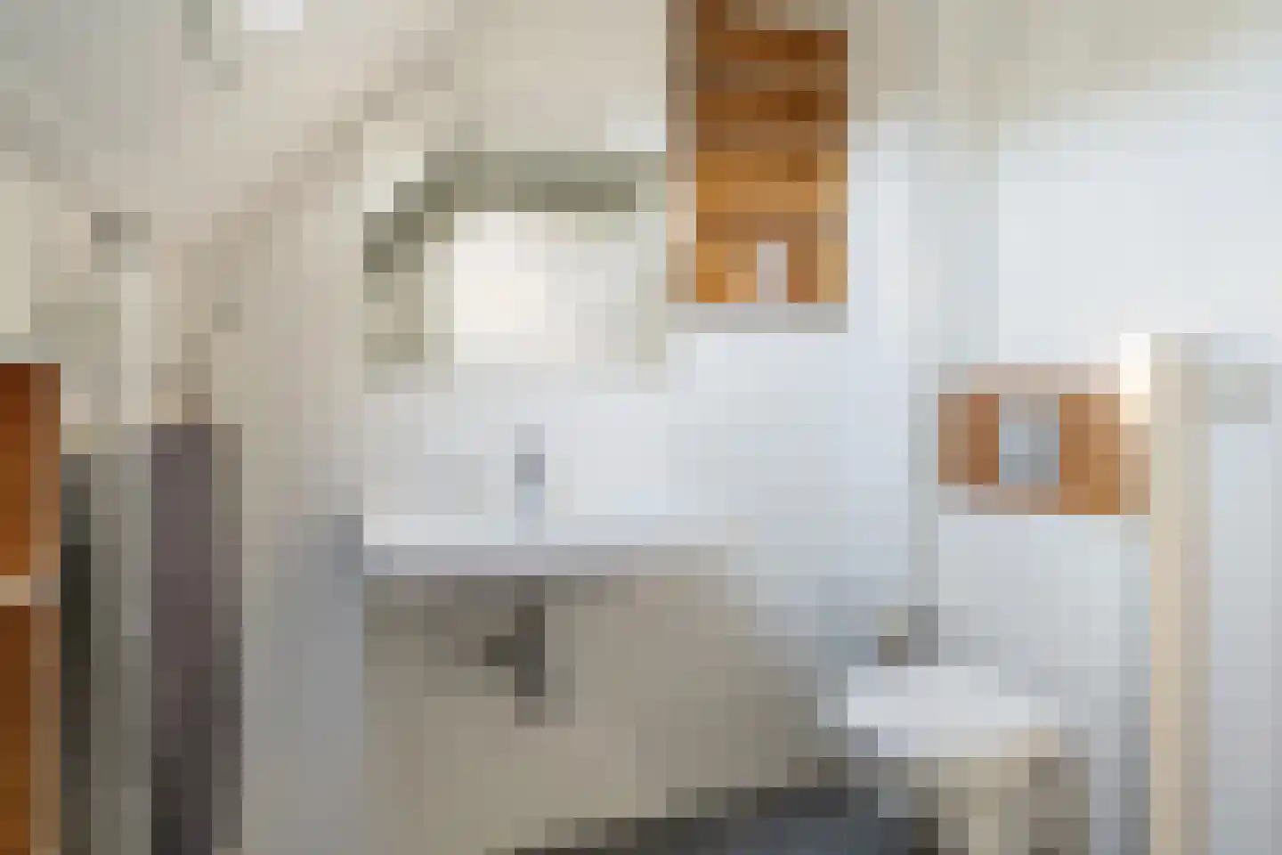 De Blikken 32 Oudenbosch thumbnail 23