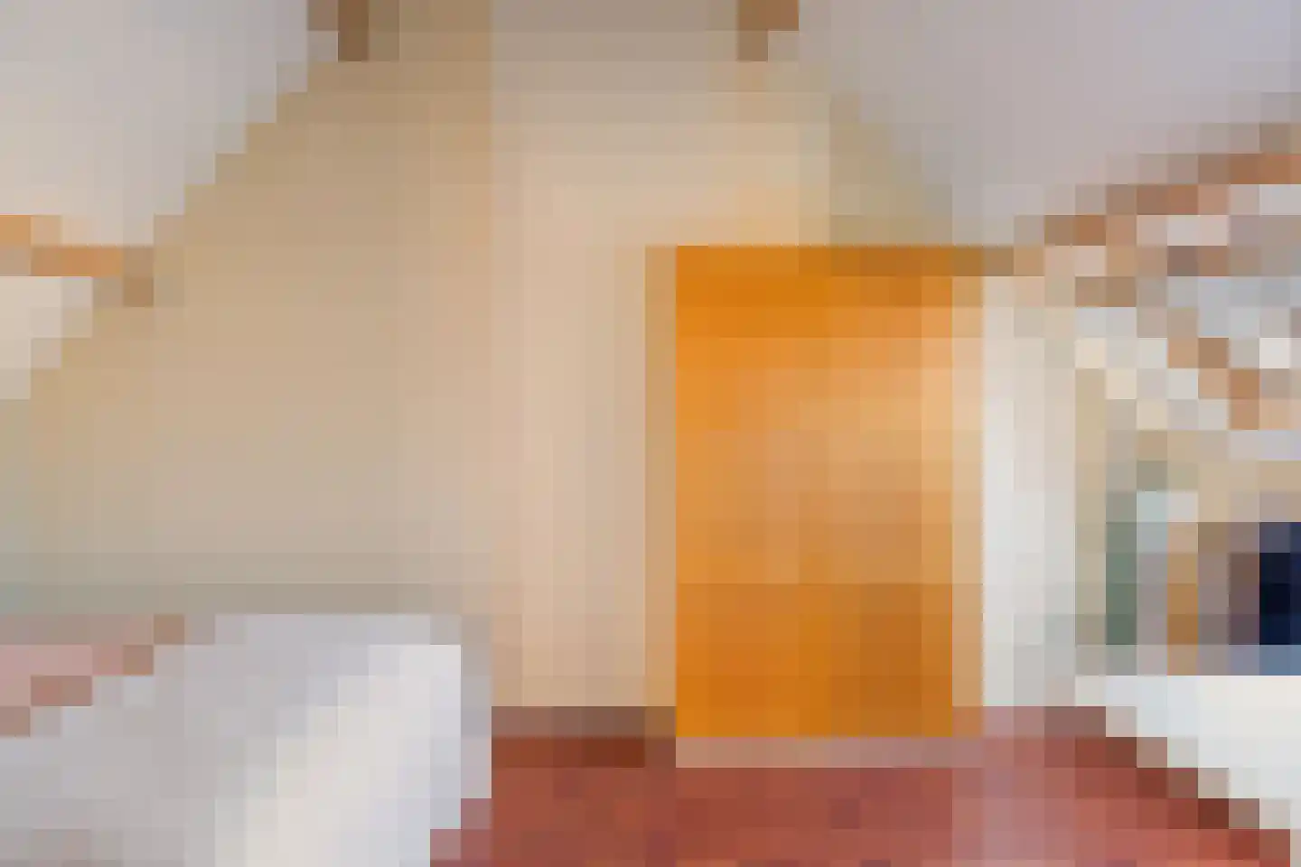 De Blikken 32 Oudenbosch thumbnail 25