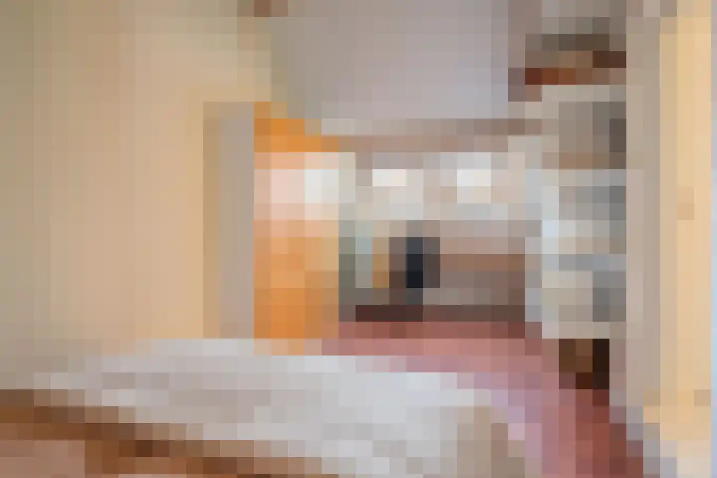 De Blikken 32 Oudenbosch thumbnail 27
