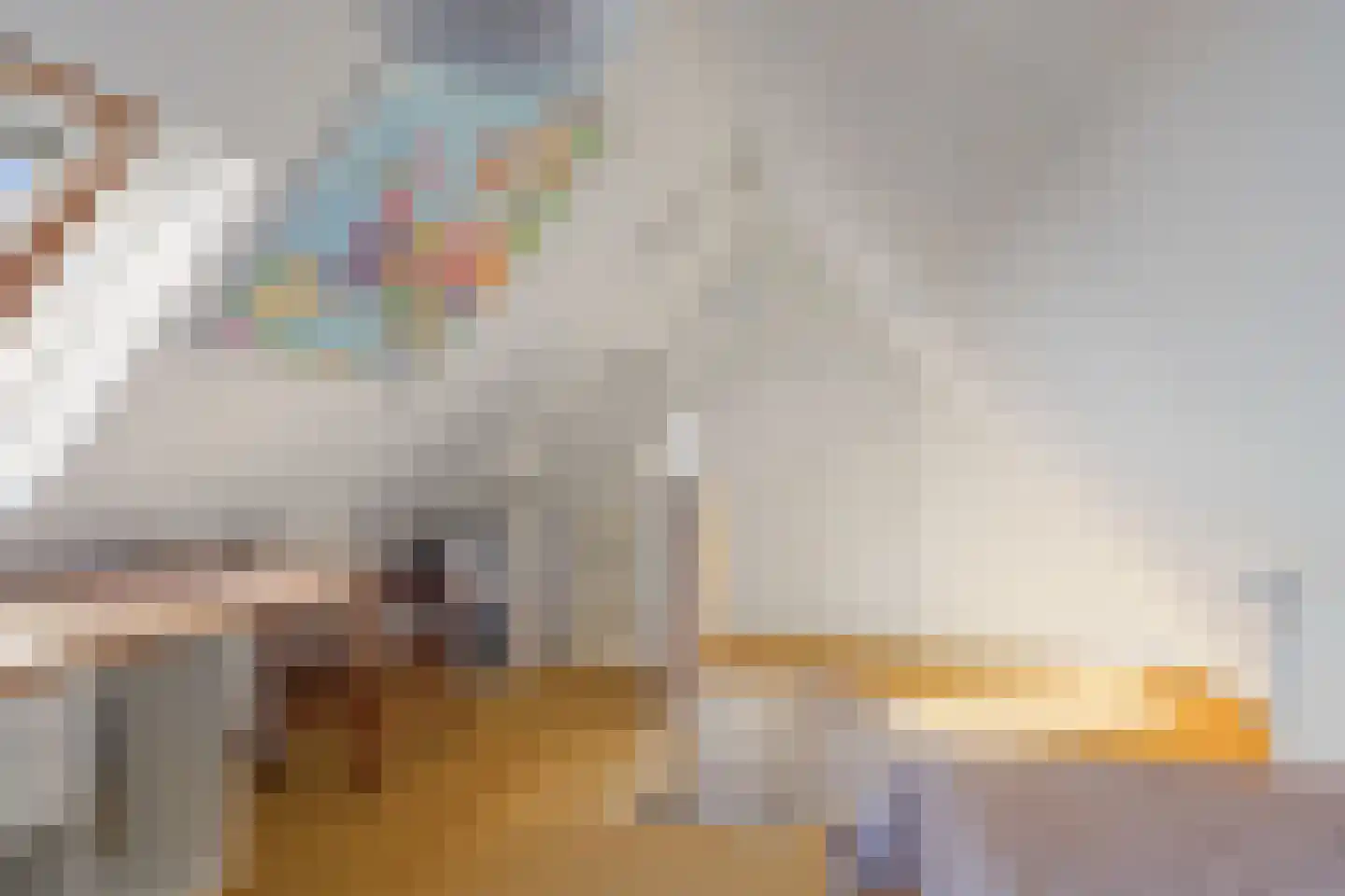 De Blikken 32 Oudenbosch thumbnail 29
