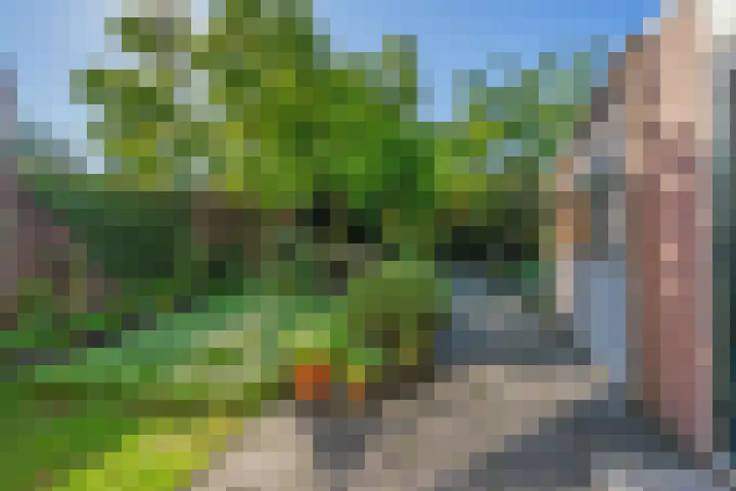 De Blikken 32 Oudenbosch thumbnail 30