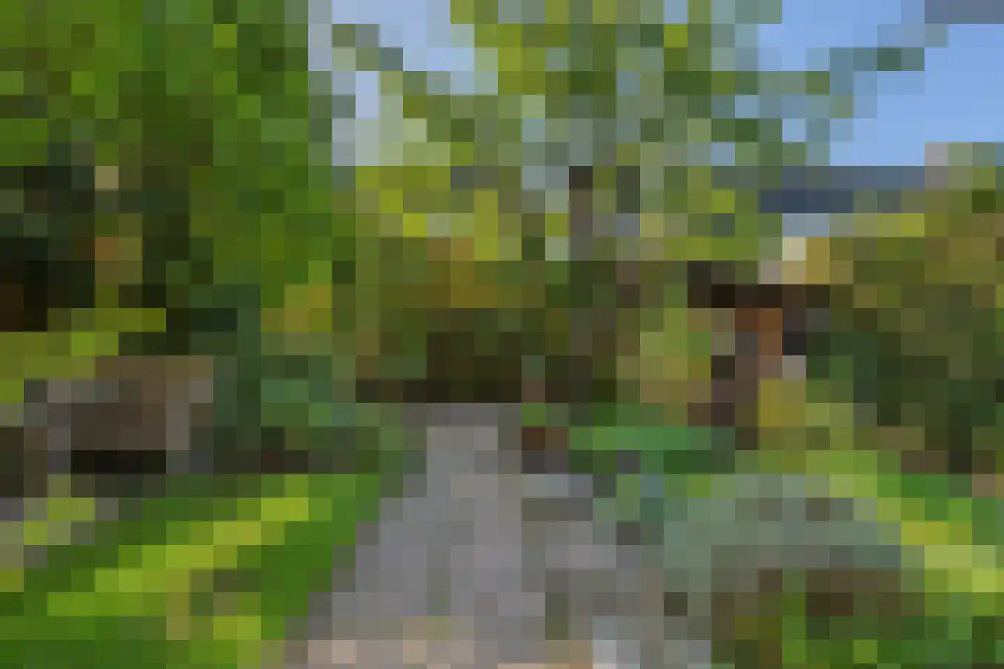 De Blikken 32 Oudenbosch thumbnail 31