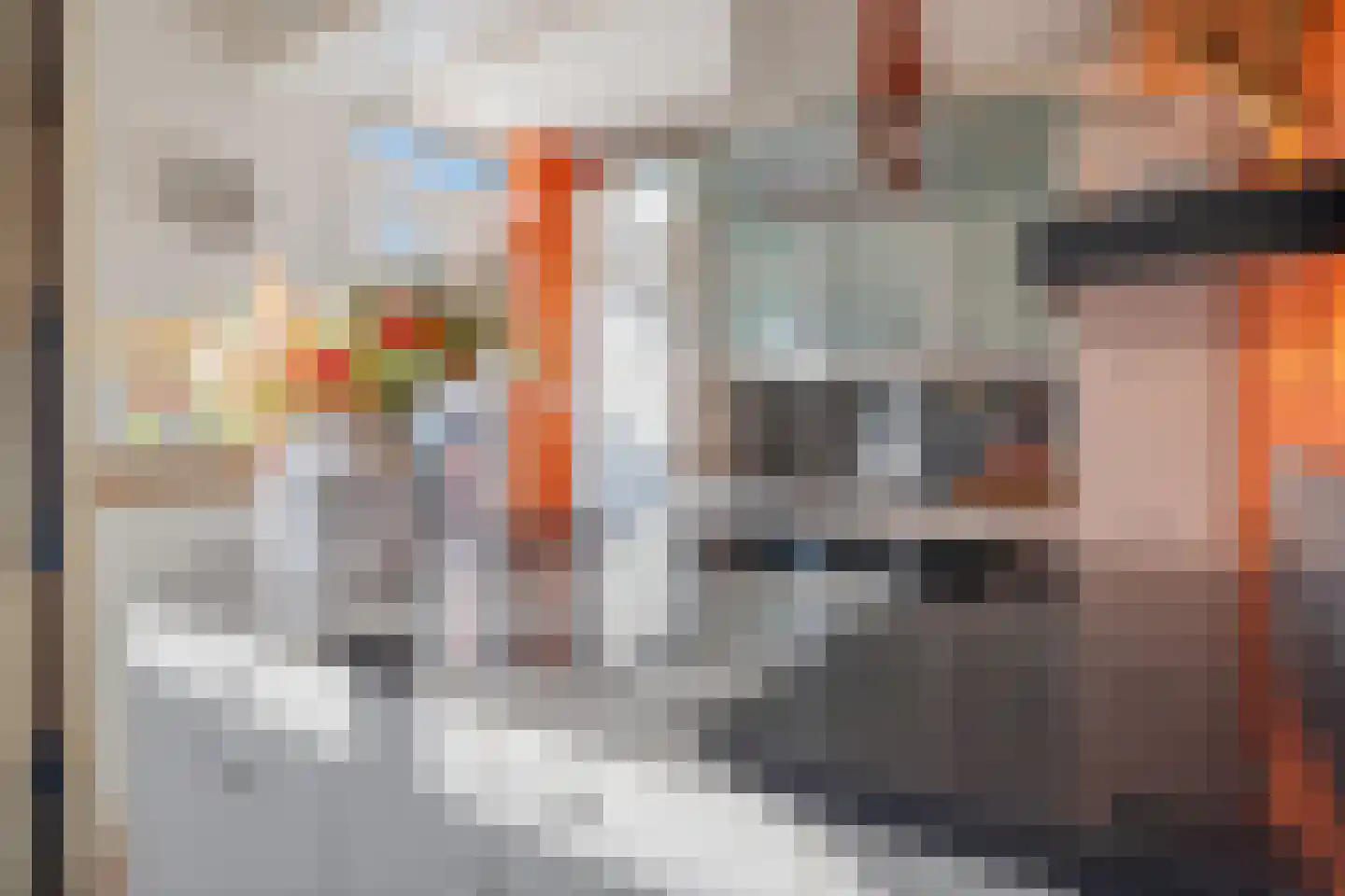 De Blikken 32 Oudenbosch thumbnail 5