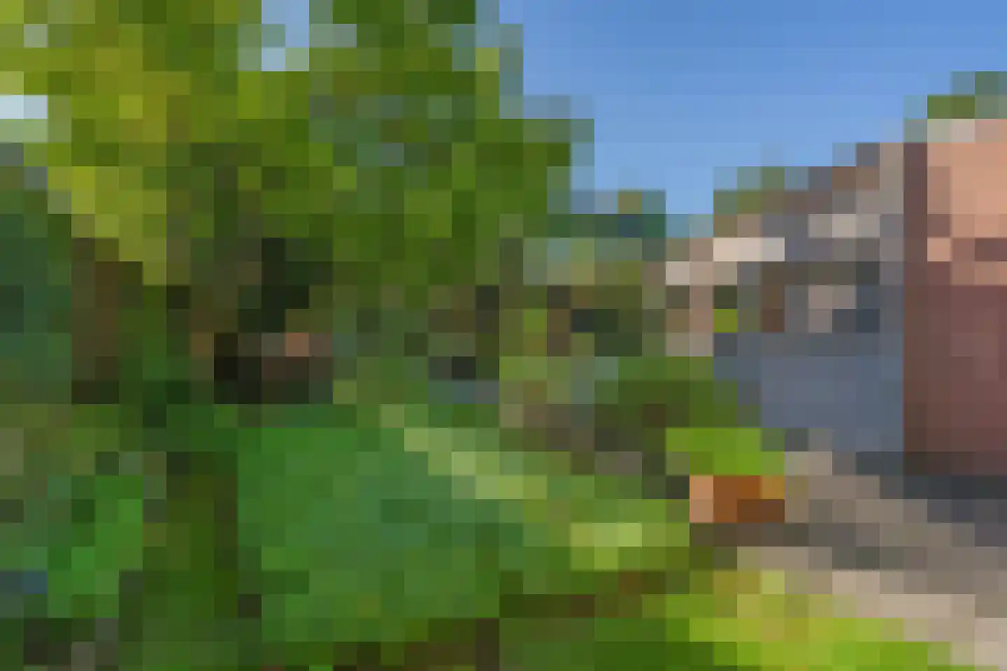 De Blikken 32 Oudenbosch thumbnail 8