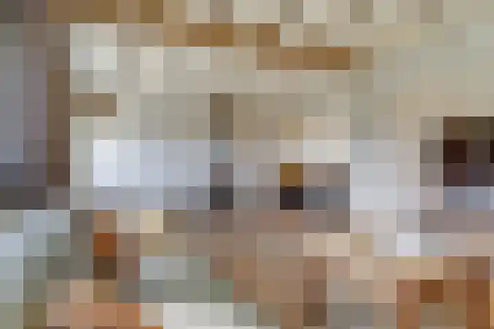 De Blikken 9 A Netersel thumbnail 10