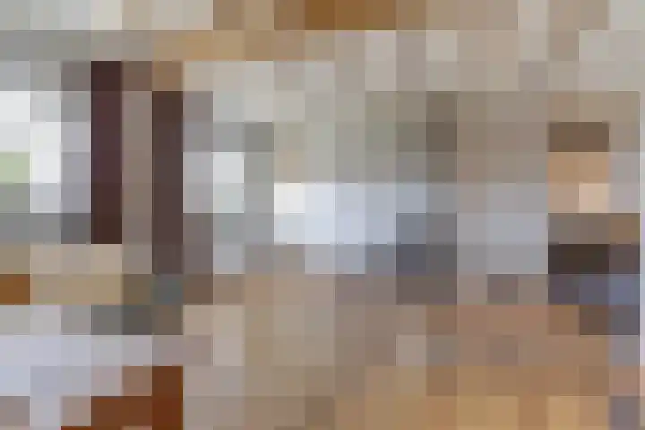 De Blikken 9 A Netersel thumbnail 11