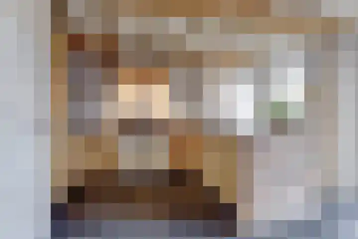 De Blikken 9 A Netersel thumbnail 15
