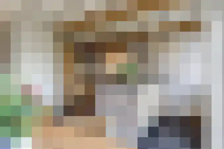 De Blikken 9 A Netersel thumbnail 18