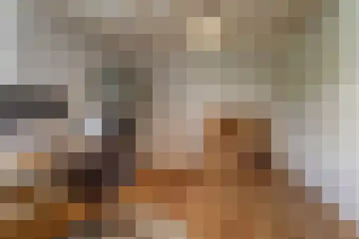 De Blikken 9 A Netersel thumbnail 24
