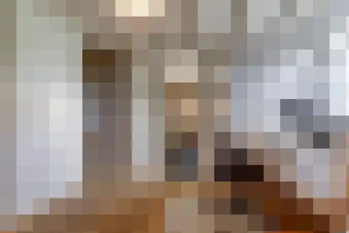 De Blikken 9 A Netersel thumbnail 25