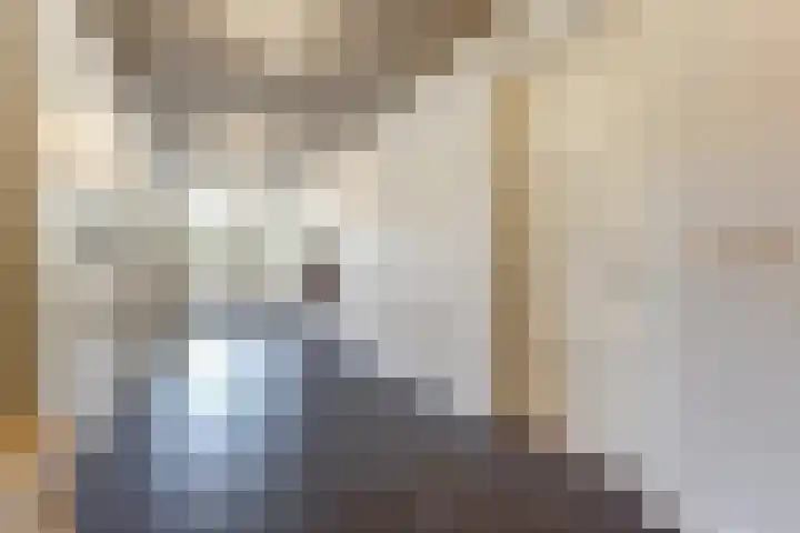 De Blikken 9 A Netersel thumbnail 27
