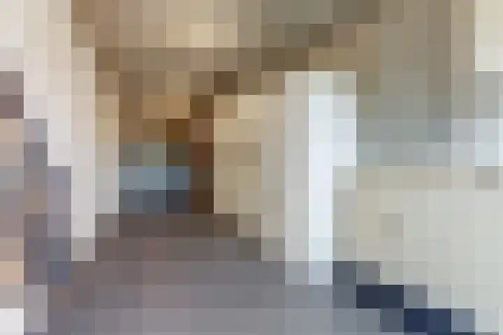 De Blikken 9 A Netersel thumbnail 28