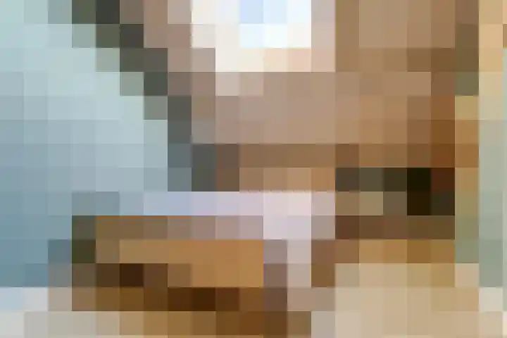 De Blikken 9 A Netersel thumbnail 31