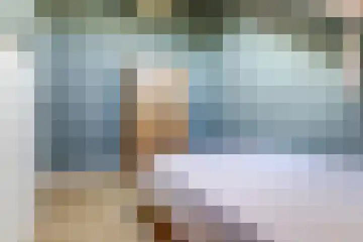 De Blikken 9 A Netersel thumbnail 32