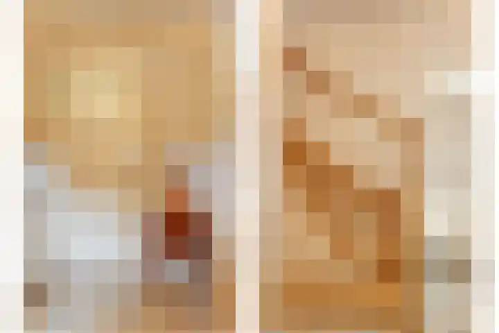 De Blikken 9 A Netersel thumbnail 4