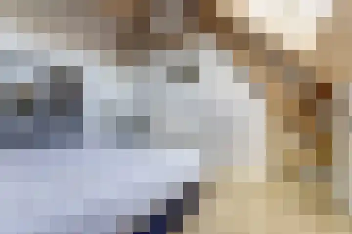 De Blikken 9 A Netersel thumbnail 40