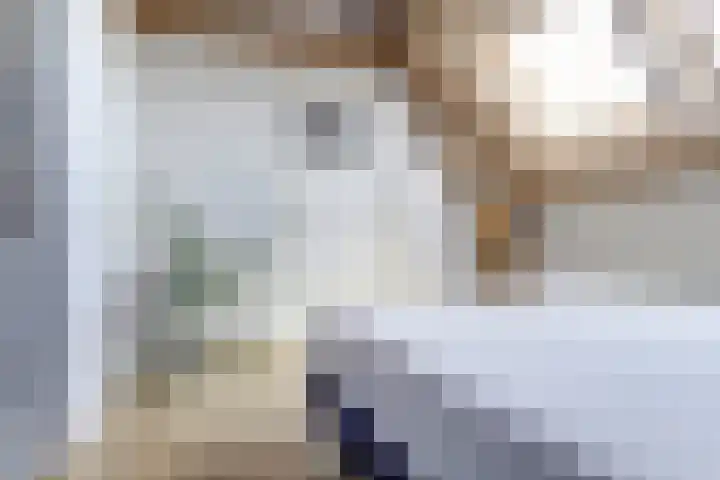 De Blikken 9 A Netersel thumbnail 42