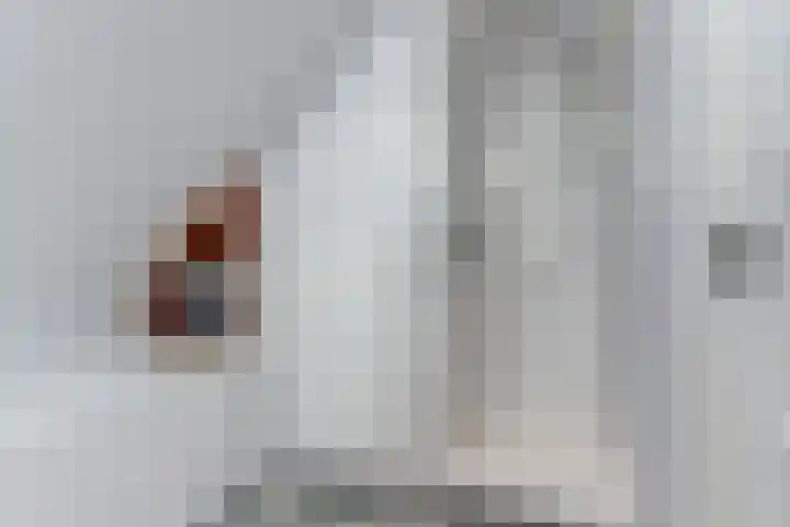 De Blikken 9 A Netersel thumbnail 47