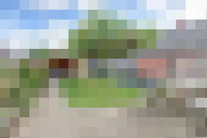 De Blikken 9 A Netersel thumbnail 51