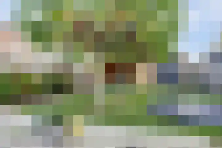 De Blikken 9 A Netersel thumbnail 52