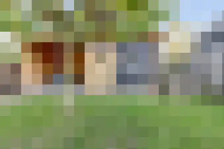 De Blikken 9 A Netersel thumbnail 53